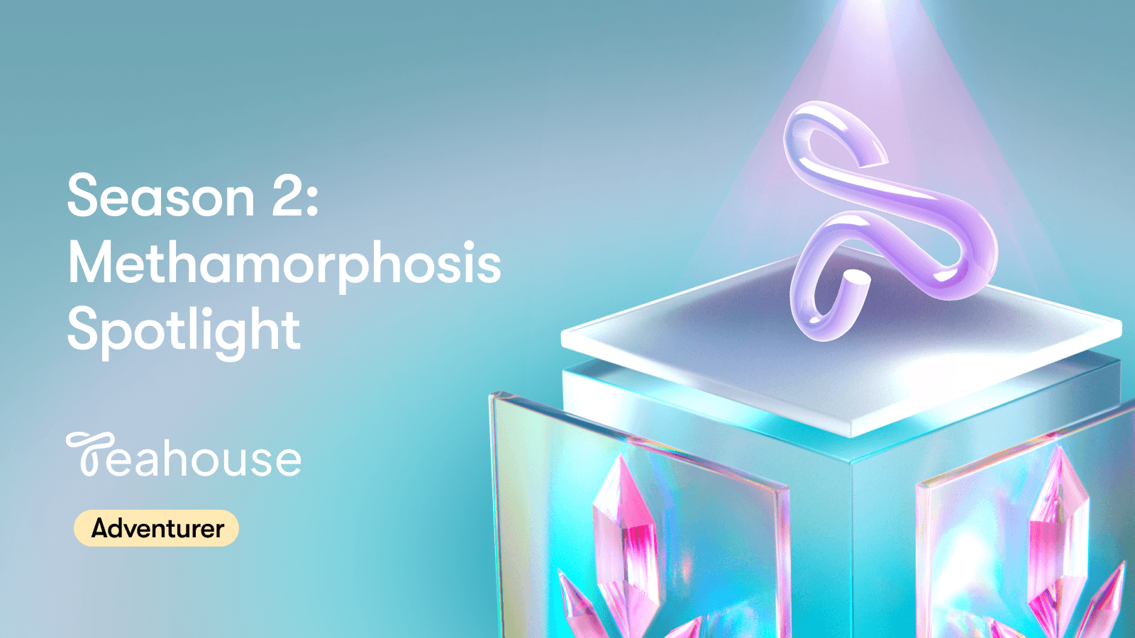 Season 2: Methamorphosis Spotlight #3 — Teahouse