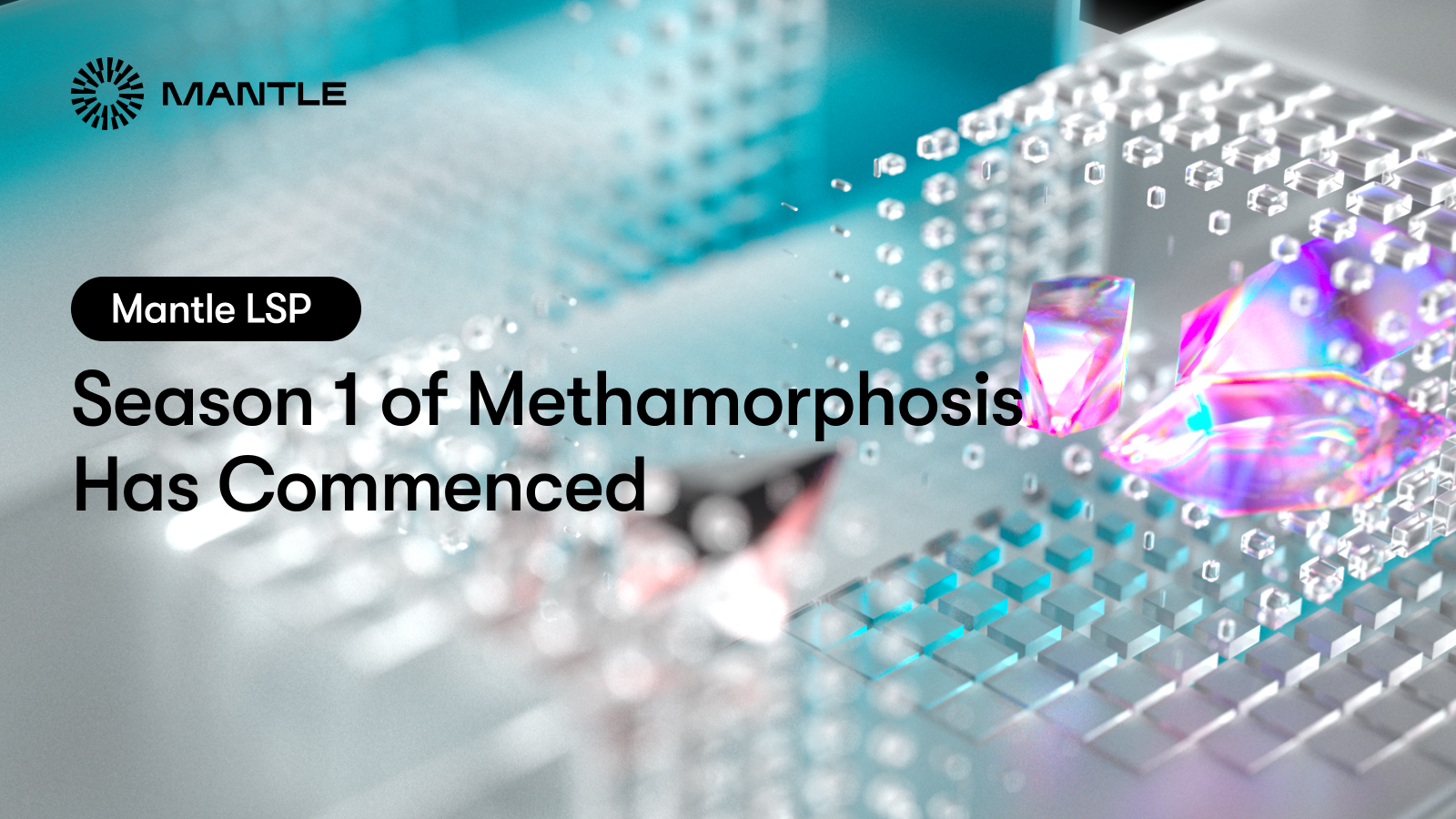 Introducing: Methamorphosis